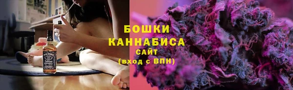 гашик Белокуриха