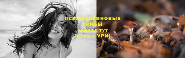 ешки Балабаново