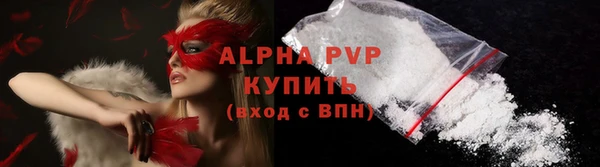 гашик Белокуриха