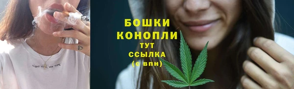 гидра Беломорск