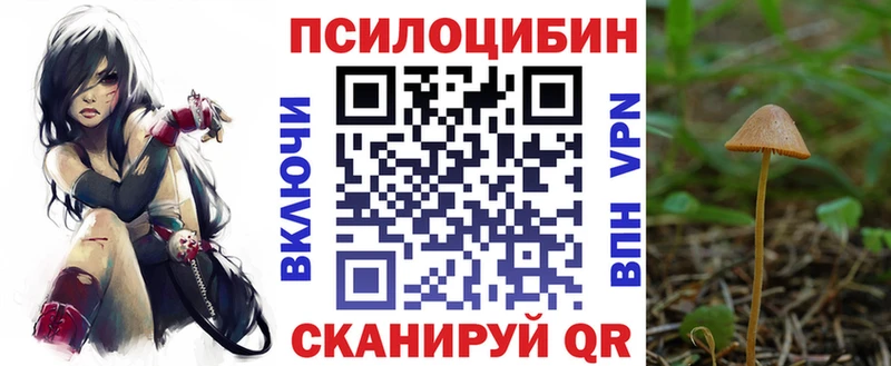 Галлюциногенные грибы GOLDEN TEACHER  Мышкин 